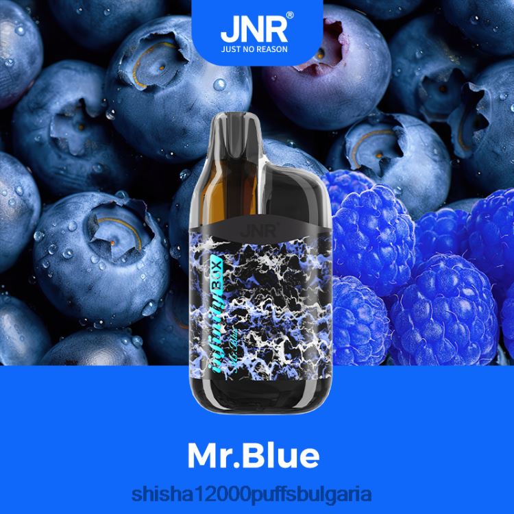JNR Vape Shop - JNR Infinity Box mr.blue 64FH8087