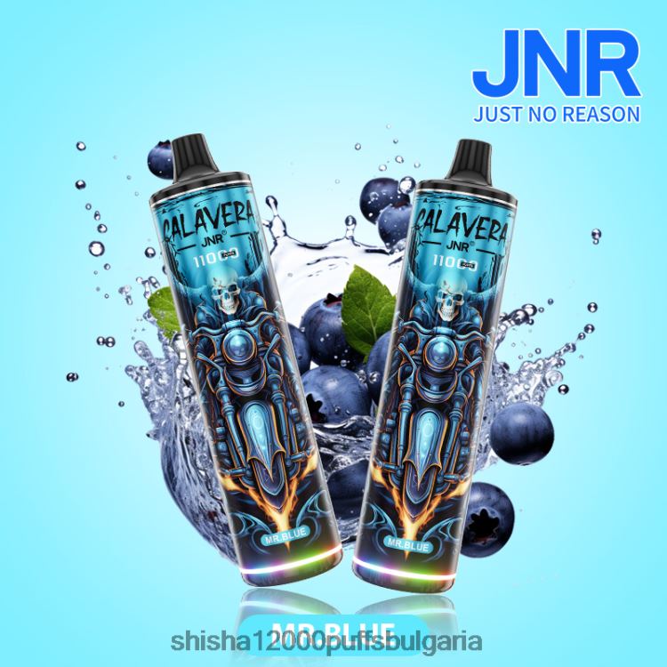JNR Vape Bulgaria - jnr calavera mr.blue 64FH80303