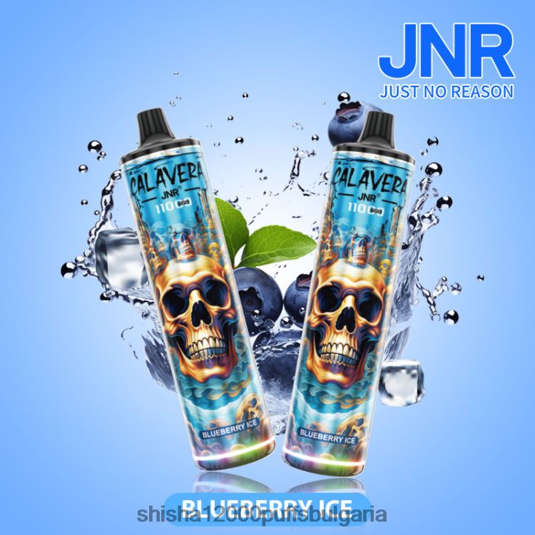 JNR Vape Review - jnr calavera боровинков лед 64FH80292