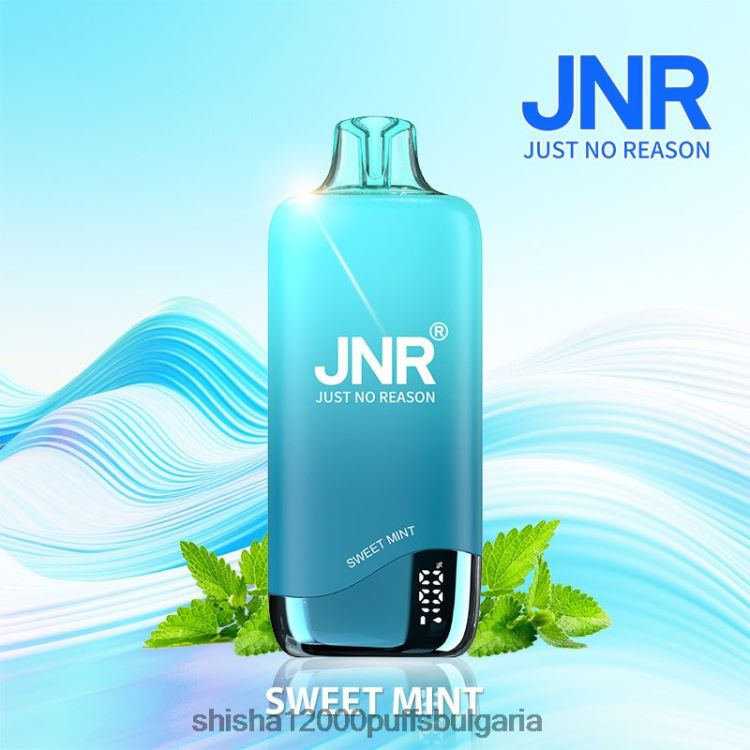 JNR Vape Flavours - jnr дъга сладка мента 64FH80269