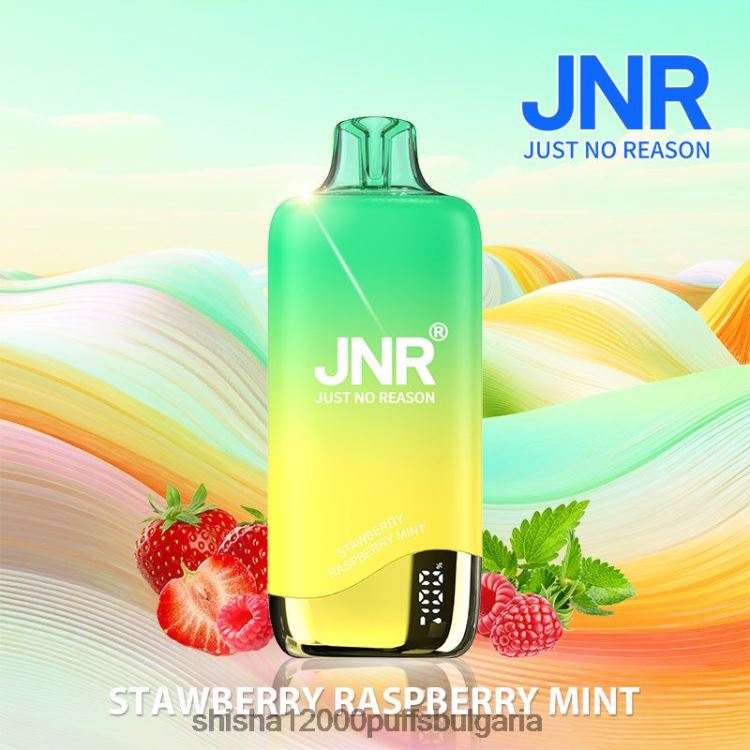 JNR Vapes Website - jnr дъга ягода малина мента 64FH80268