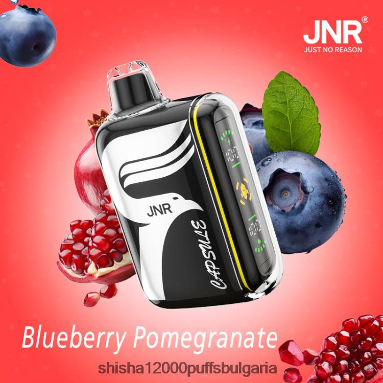 JNR Vape Flavours - JNR капсула 0DXZ59 боровинка-нар