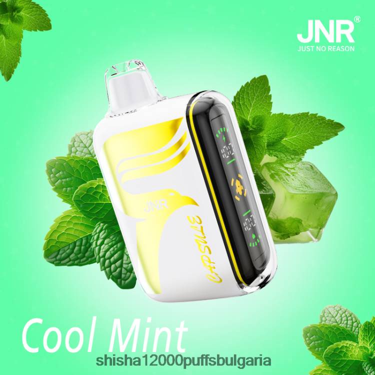 JNR Vape Review - JNR капсула 0DXZ62 хладна мента