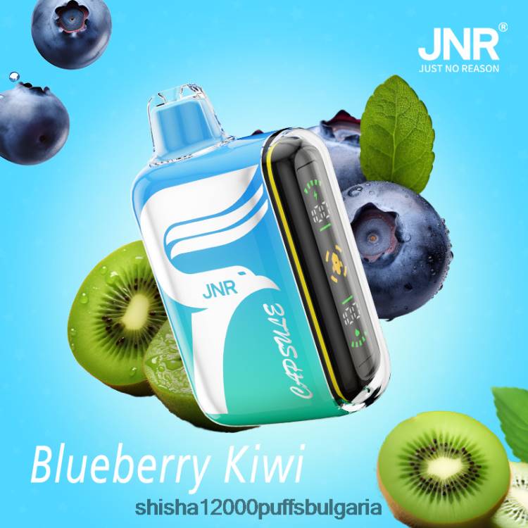 JNR Vape Sofia - JNR капсула 0DXZ55 боровинки-киви