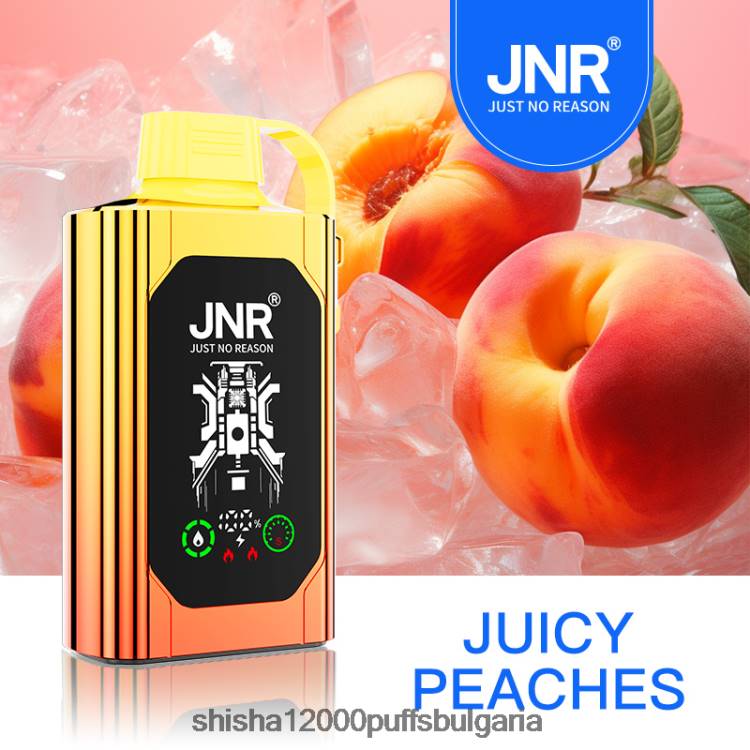 JNR Vape България - JNR SHISHA кутия 0DXZ84 сочни праскови
