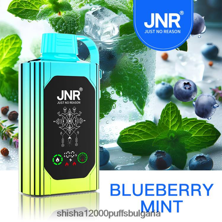 JNR Vapes Website - JNR SHISHA кутия 0DXZ88 боровинка мента