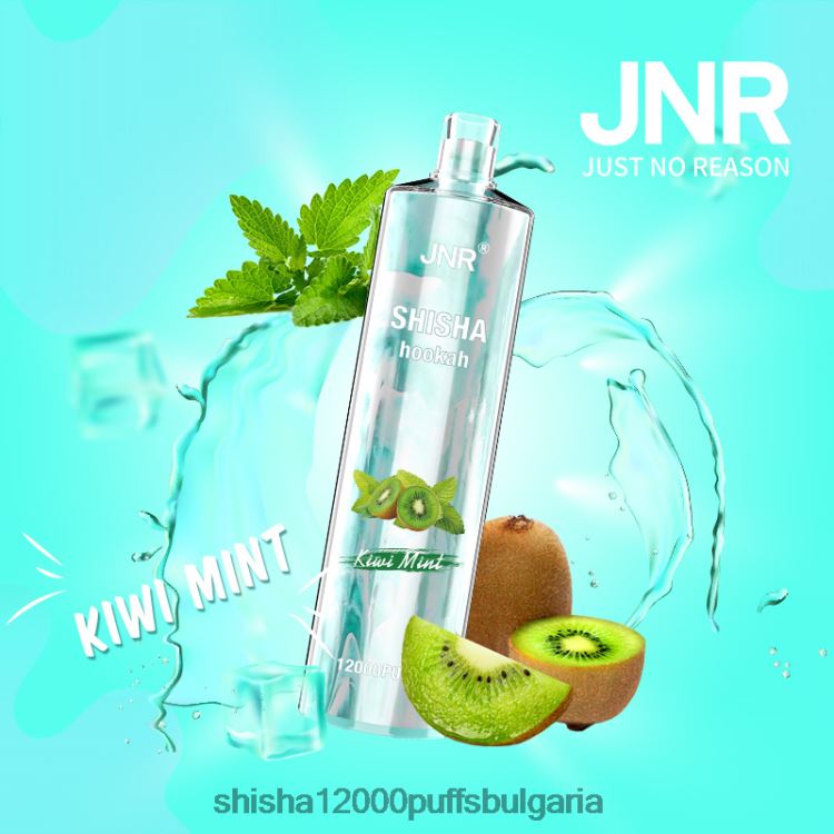 JNR Vape Flavours - jnr наргиле киви мента 64FH80169