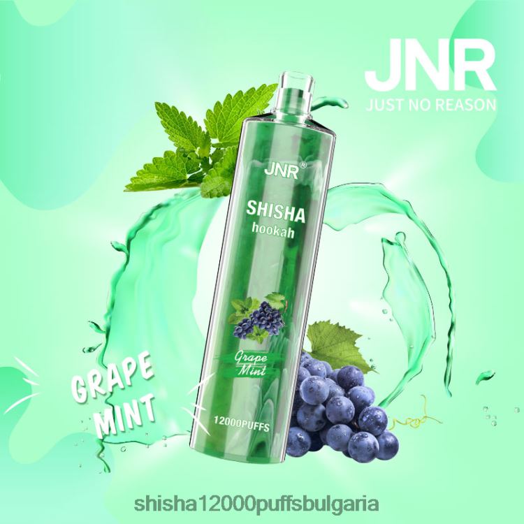 JNR Vape Price - jnr наргиле гроздова мента 64FH80171