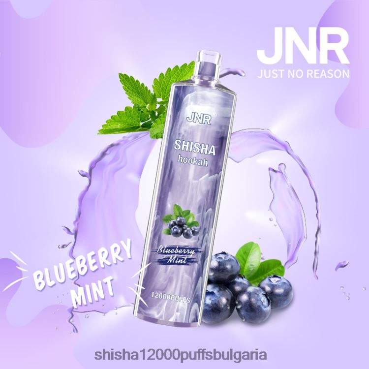 JNR Vape Review - jnr наргиле боровинка мента 64FH80172