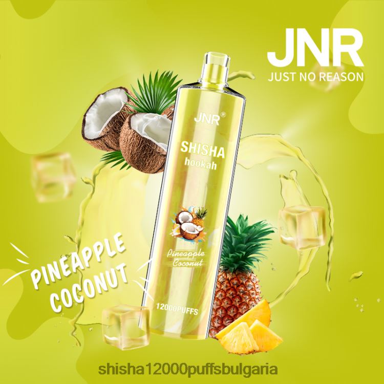 JNR Vape Shop - jnr наргиле ананас кокос 64FH80167