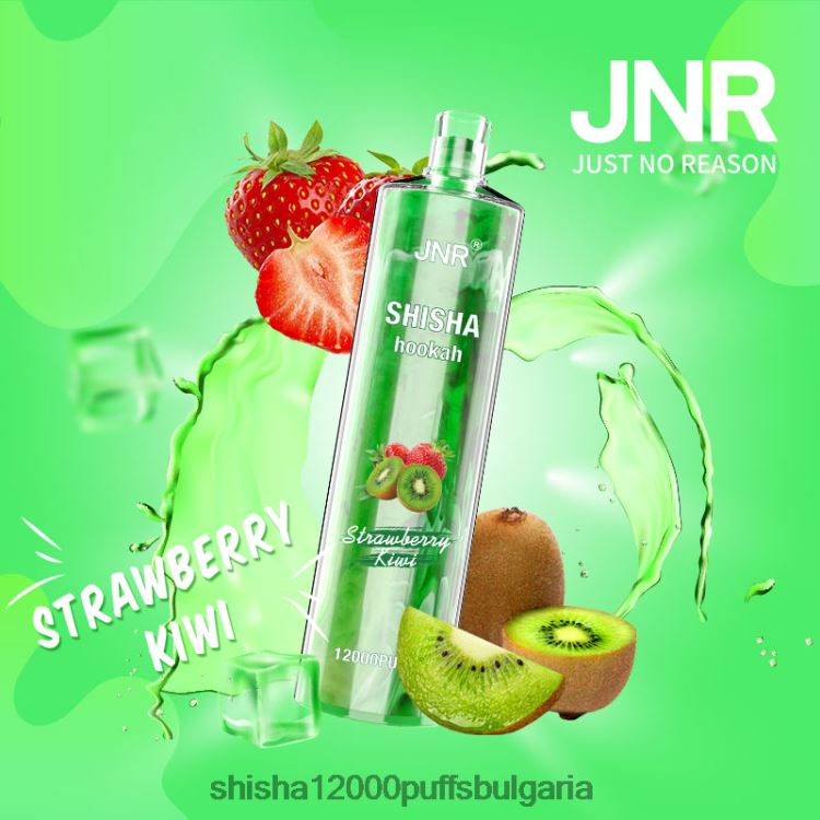 JNR Vape Shop - jnr наргиле ягодово киви 64FH80177