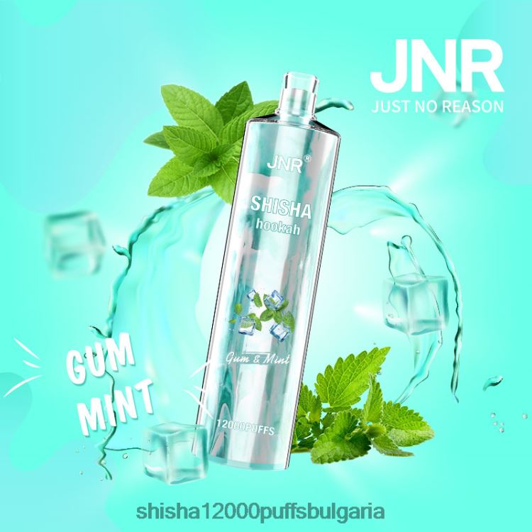 JNR Vape България - jnr наргиле дъвка и мента 64FH80164