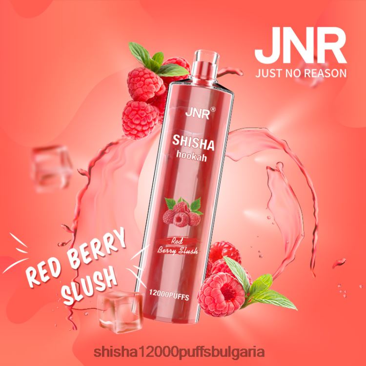 JNR Vapes Website - jnr наргиле каша от червени горски плодове 64FH80168