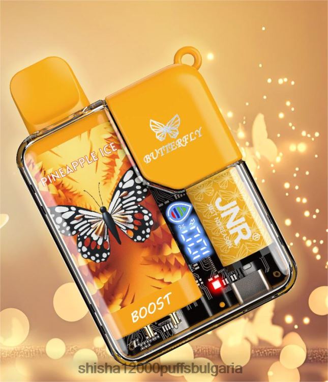 JNR Vapes Website - jnr пеперуда ананасов лед 64FH8068
