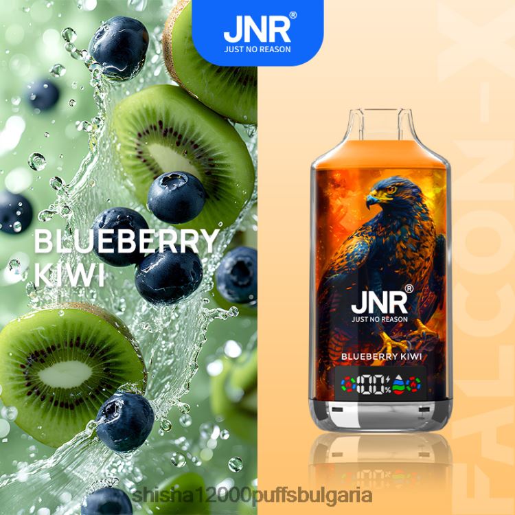 JNR Vape Flavours - JNR FALCON х HJH6T19 боровинки киви