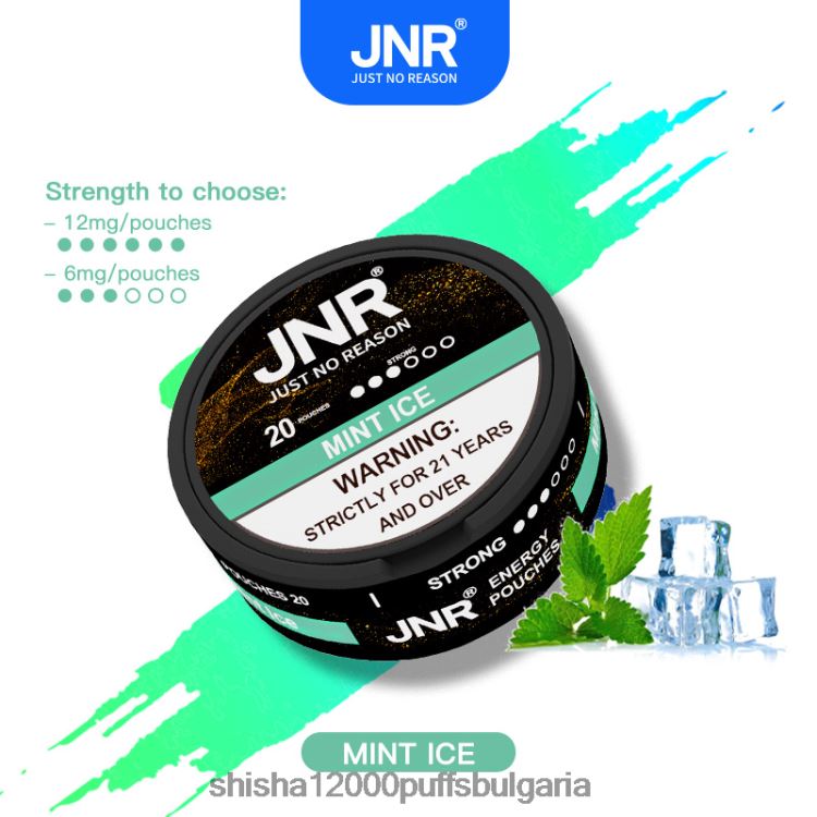 JNR Vape Bulgaria - jnr енергийни торбички ментов лед 64FH80103