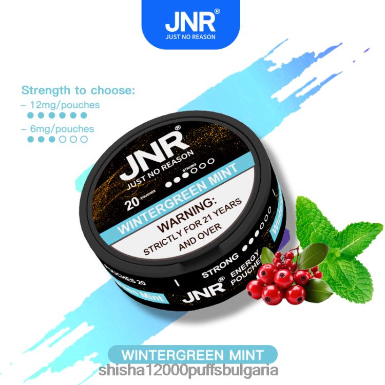 JNR Vapes Factory - jnr енергийни торбички зимнозелена мента 64FH80106